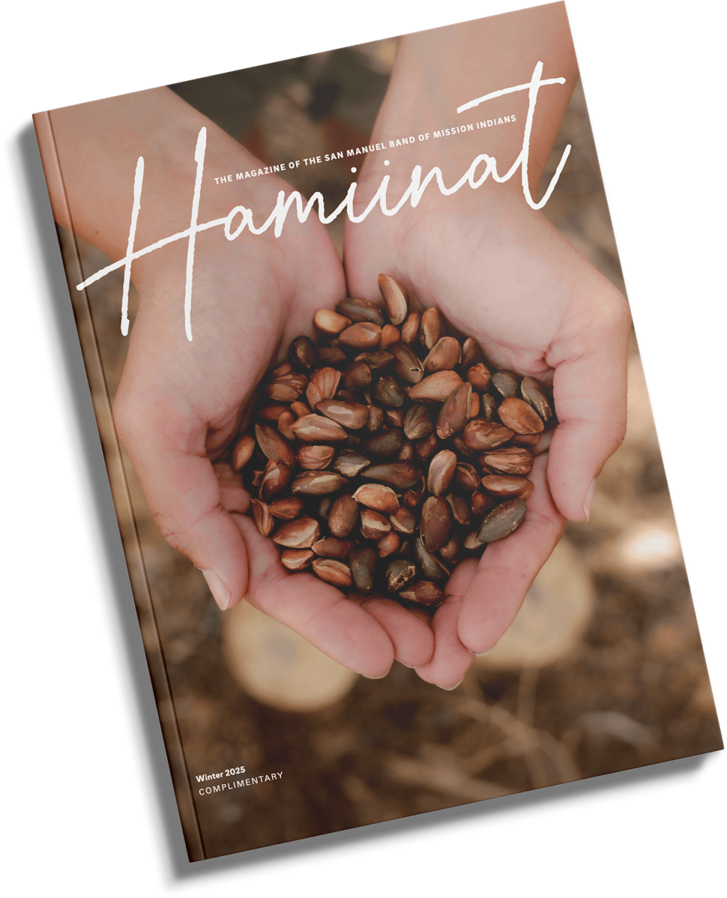 Hamiinat